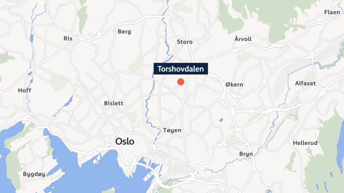 Observerte mann med øks i Oslo