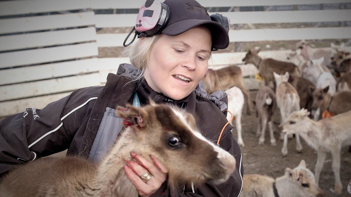 Hetses med KI-musikk: – Vårt distrikt har fått høre mye hat