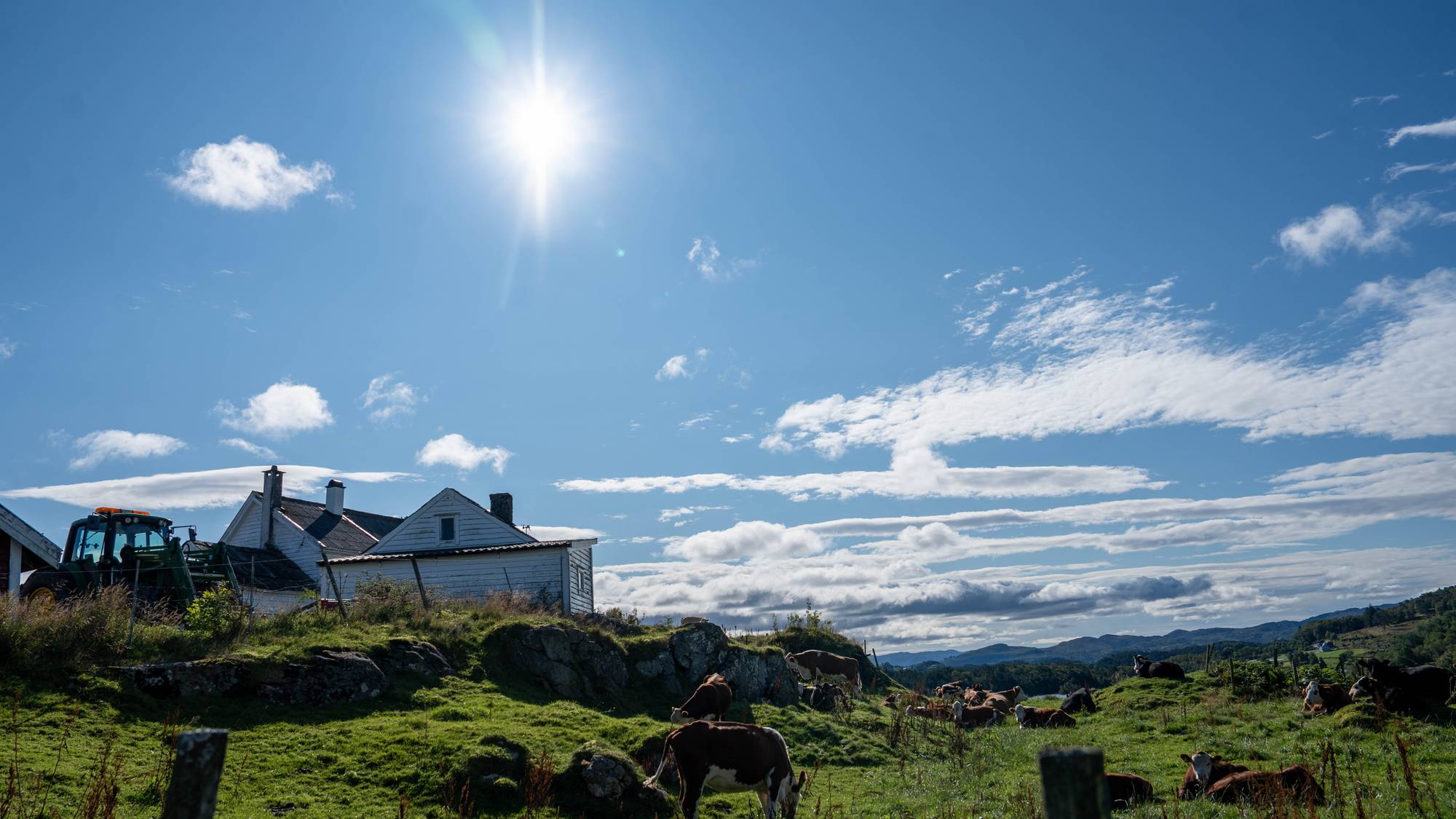 Ein gard med solceller, der det skal komma solcellepark. 