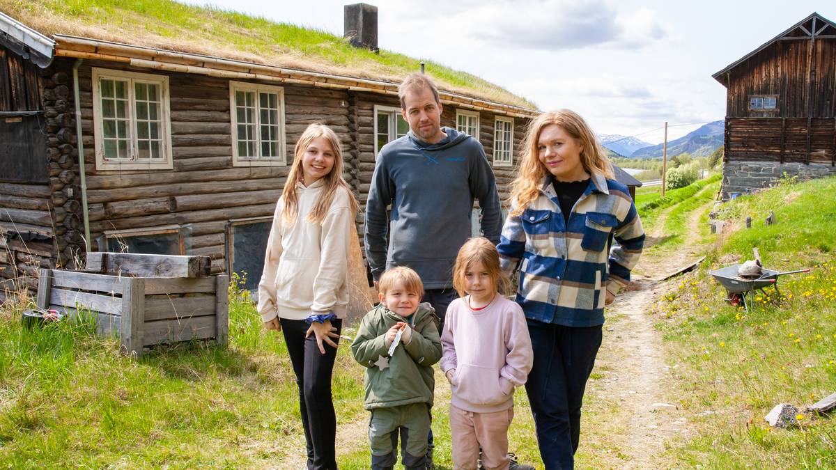 Ei gullgruve