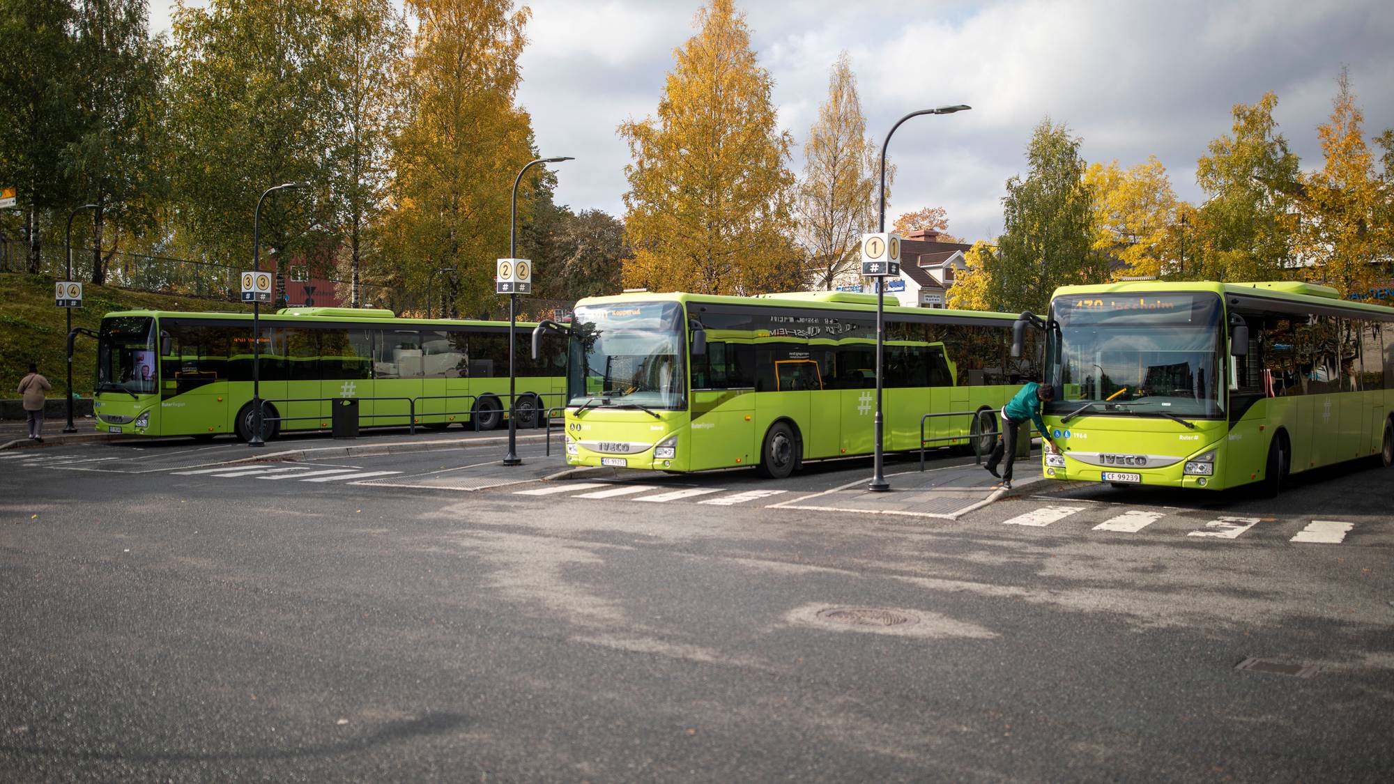 tre grønne busser på rekke og rad