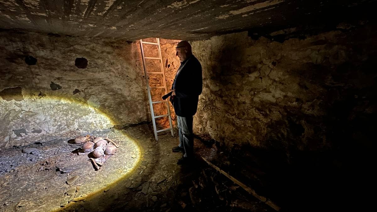 Gli americani hanno incontrato i loro antenati in una cripta sotto la chiesa di Værnes nel Trøndelag – NRK Trøndelag