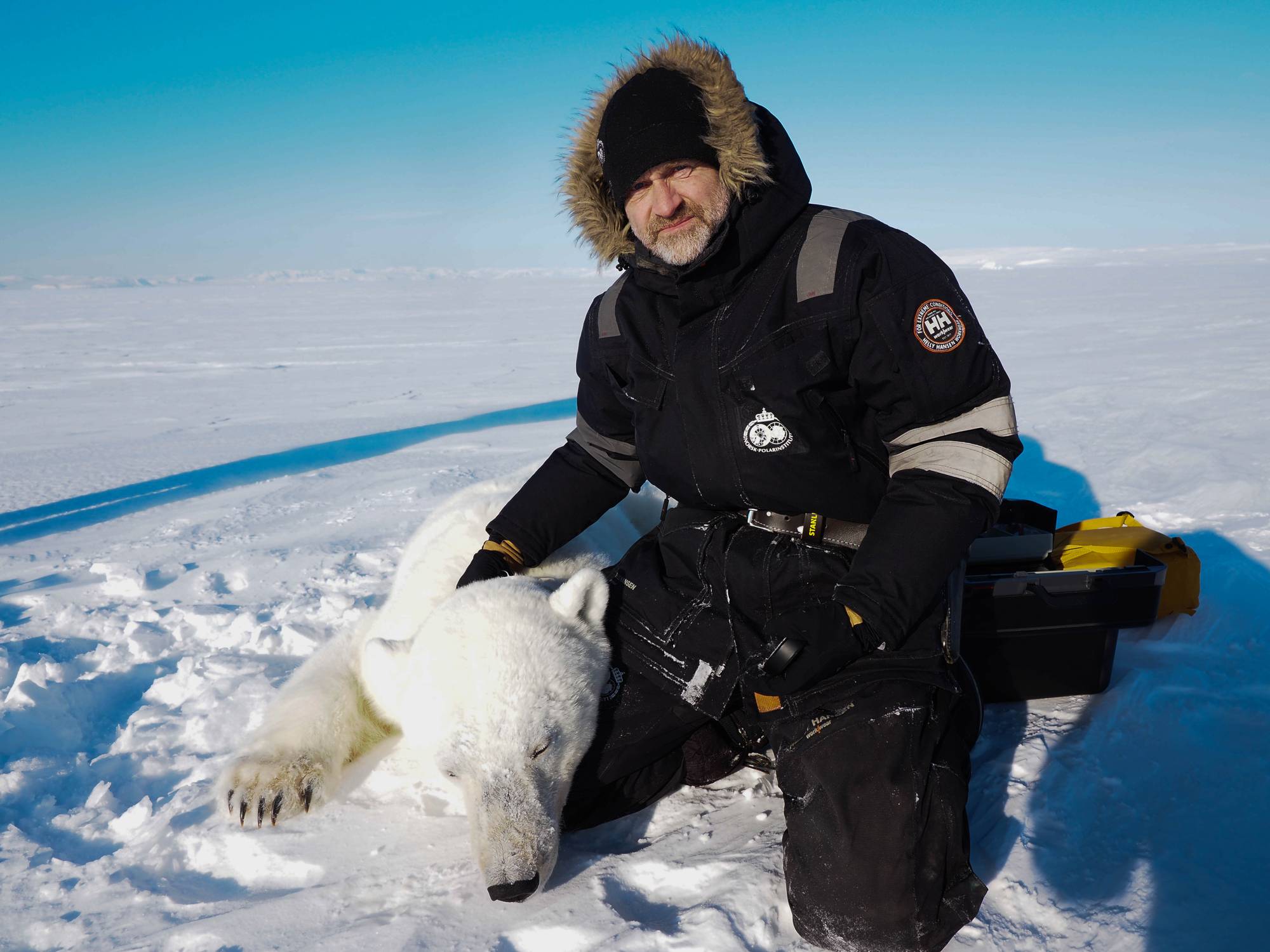 Isbjørnforsker Jon Aars.