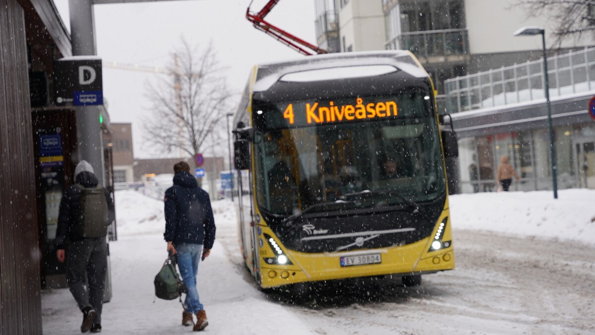 Mener elbussene har bestått kuldetesten