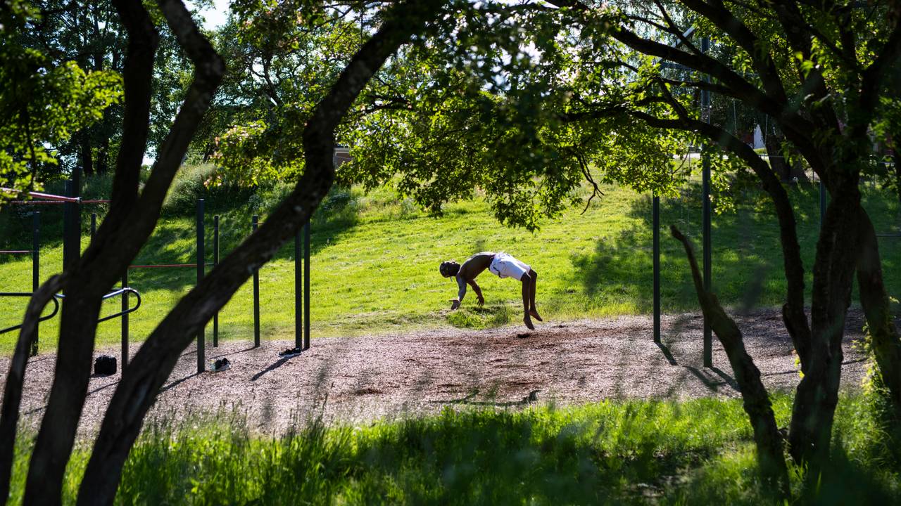 Backflip