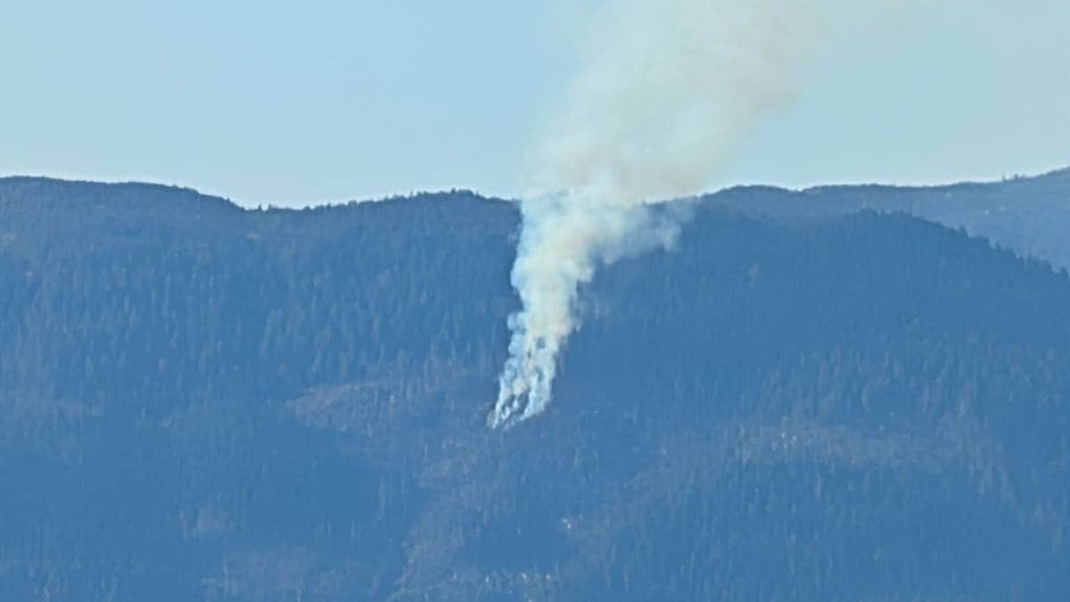 Terreng­brann ved Holmeid­stranda i Tingvoll – brann­vesenet har ikkje kontroll