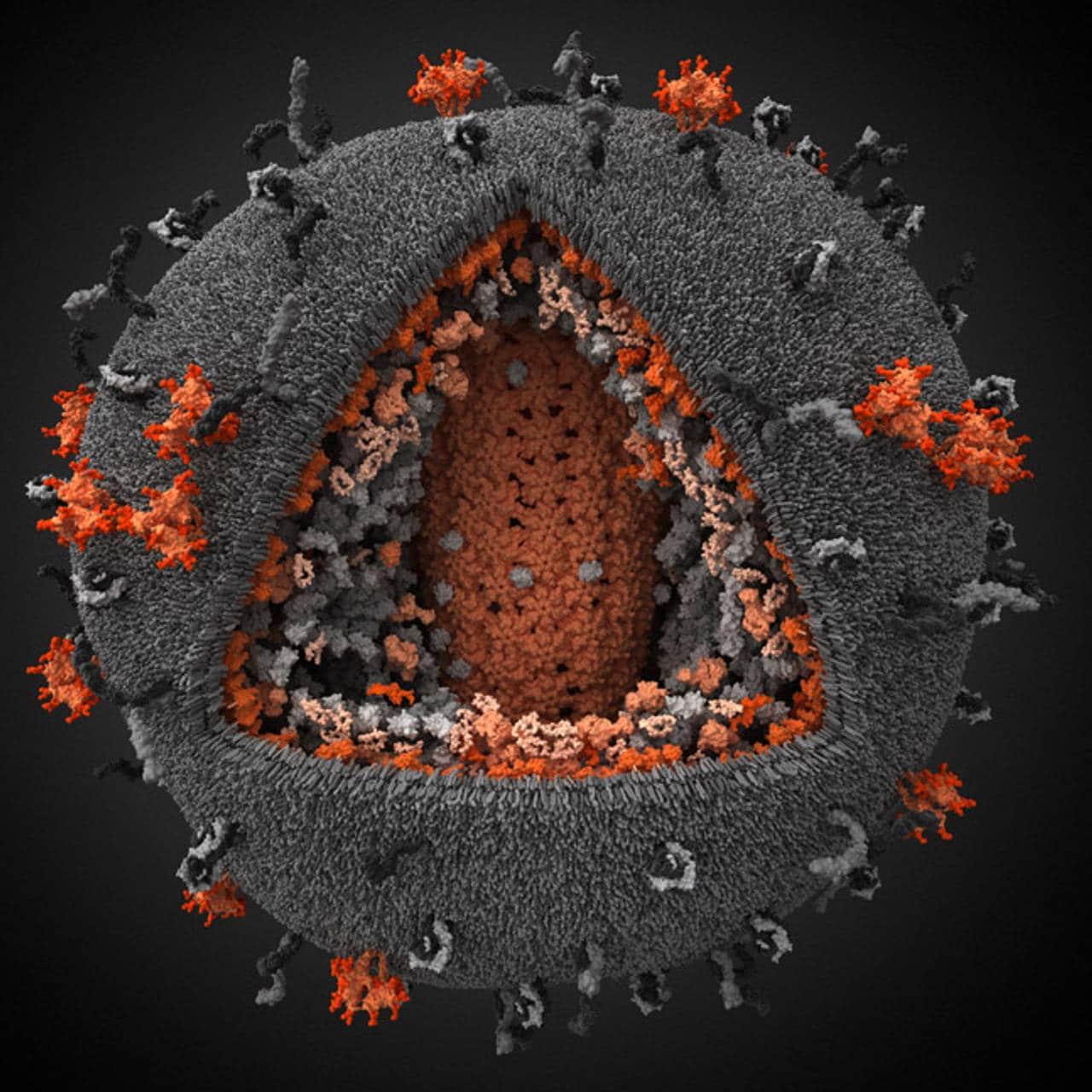HIV_blue_nocut