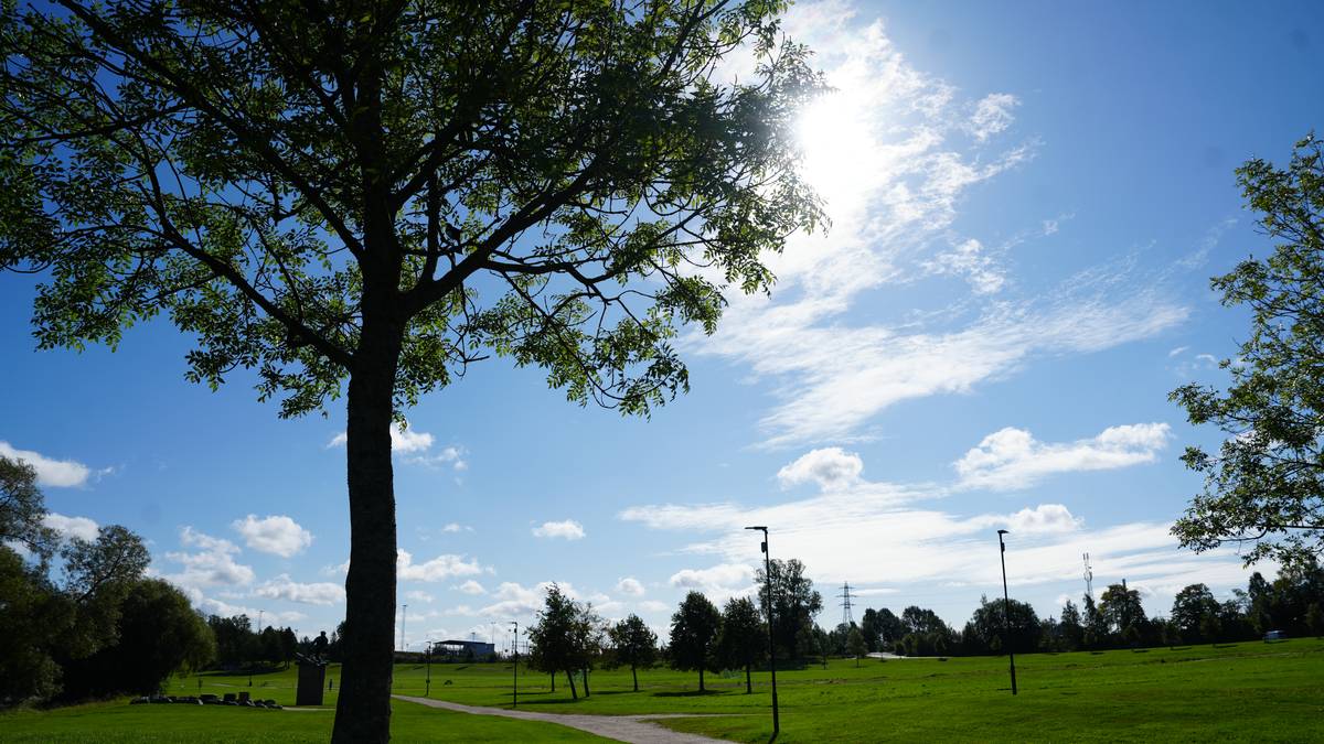 Blir sommerhelg på Sørlandet