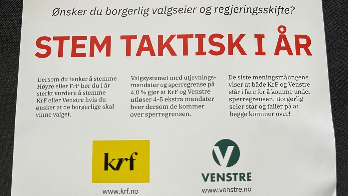Denne hjelpa vil ikkje små­partia ha: – Kan svekke demokratiet