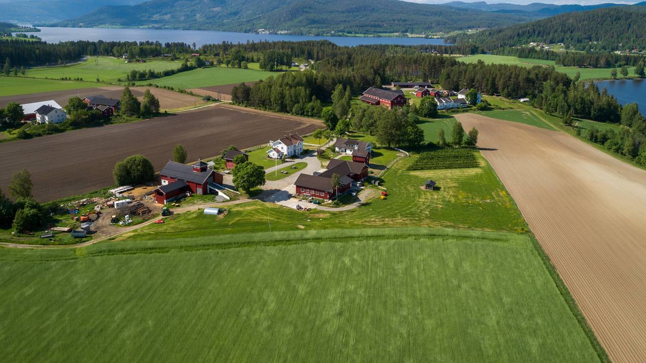 Dronebilde av Nedre Skinnes Gård
