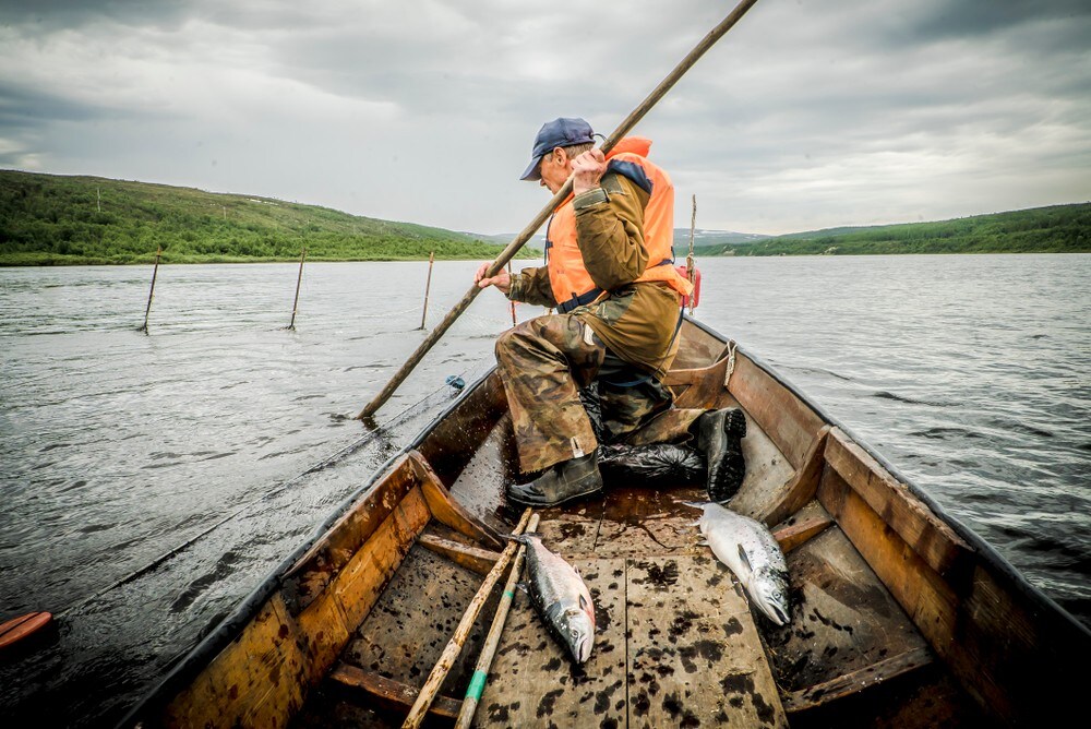 Stopper laksefisket i Norges viktigste vassdrag