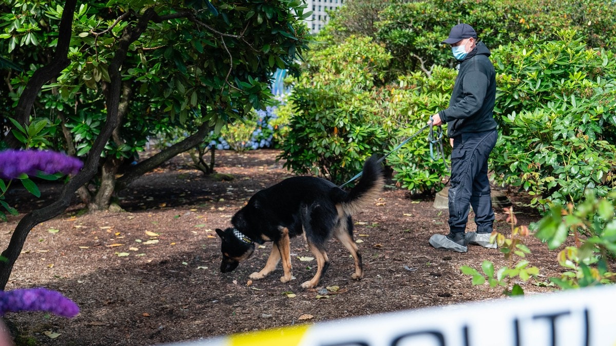 Etterforskar mogleg valdtekt i Bergen sentrum