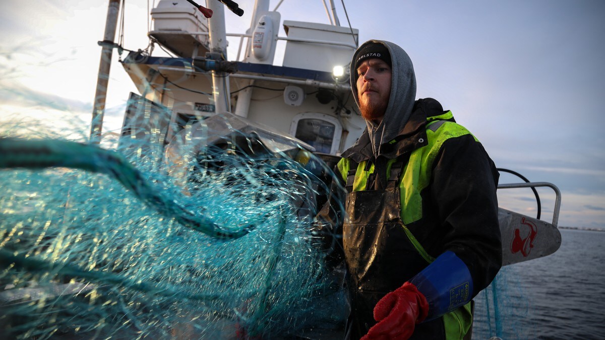 Annenhver måned dør en fisker på jobb - over halvparten var alene