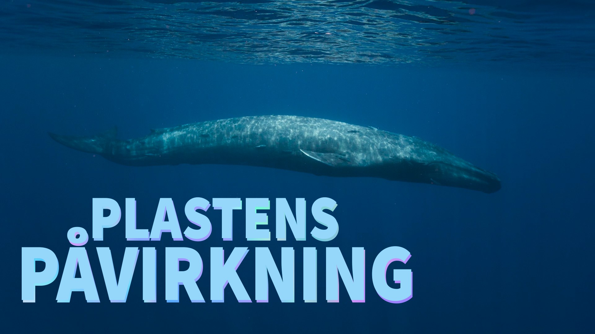 NRK video poster