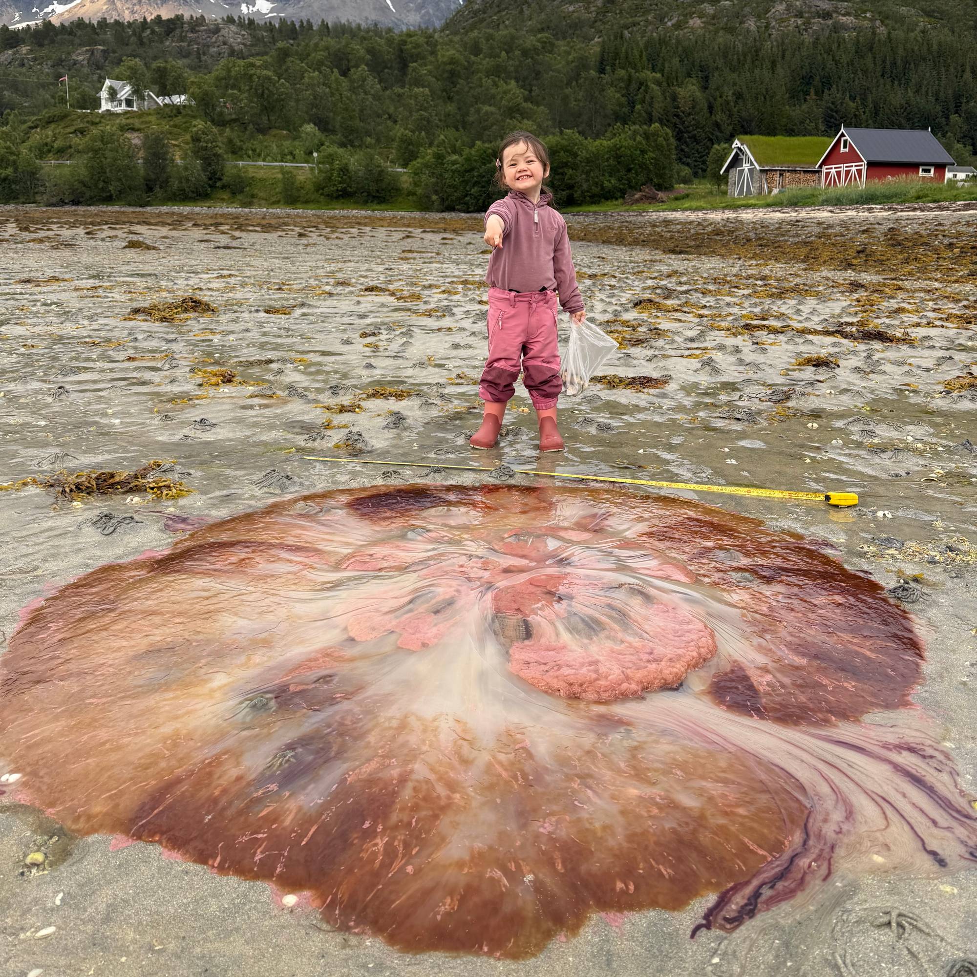 En ung jente smiler og peker på en veldig stor manet som ligger på stranda