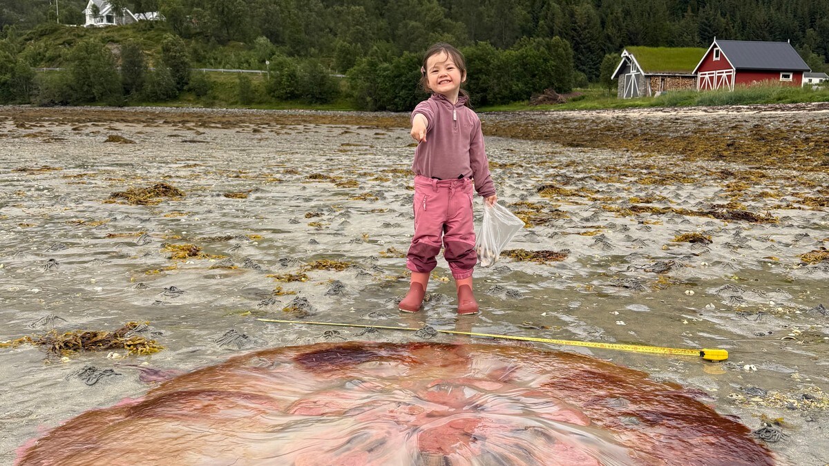 Fant giga-manet i fjæra: – Litt av en opplevelse!