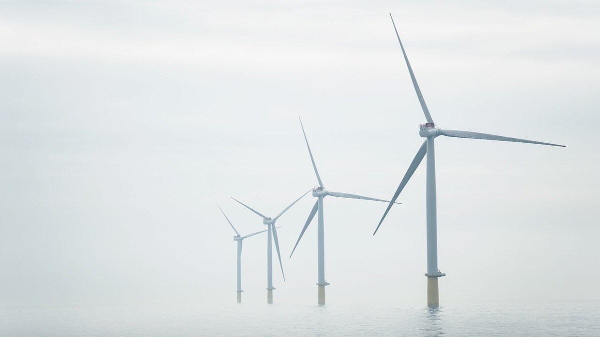 Satser på havvind der vi knapt vet noe om naturen