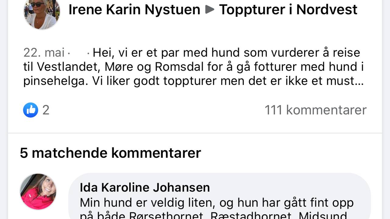 Skjermdump