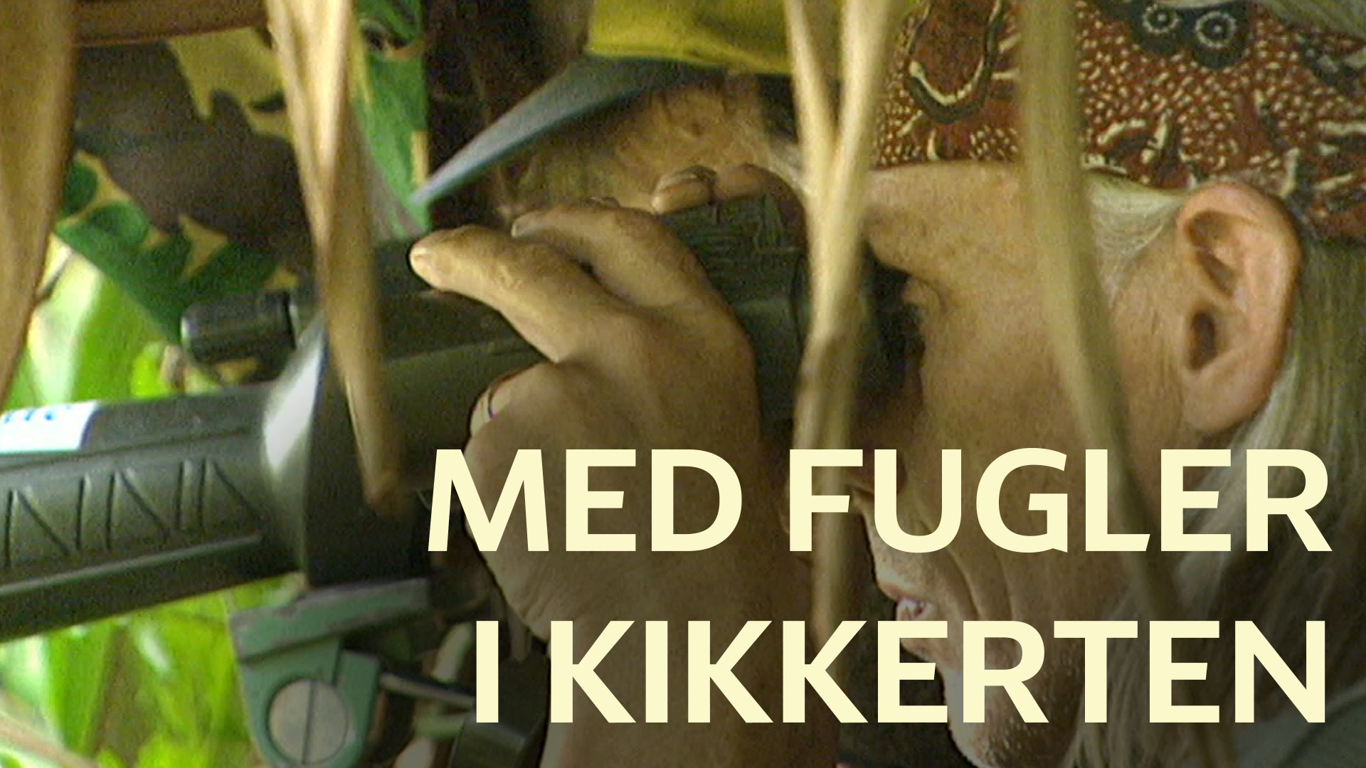 Med fugler i kikkerten - NRK TV