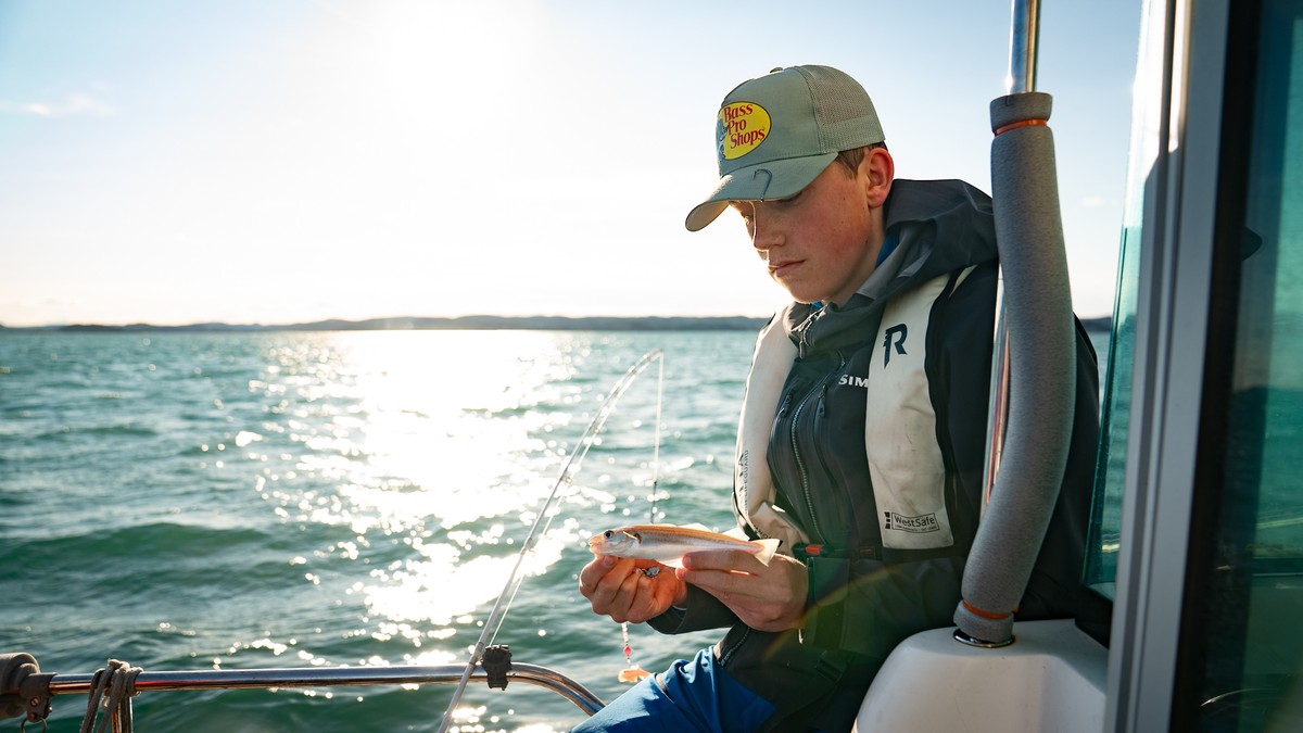 Oslofjorden: Fiskebestand stuper tross forbud