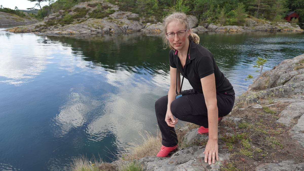 Vil ha egne nasjonalpark-bolter