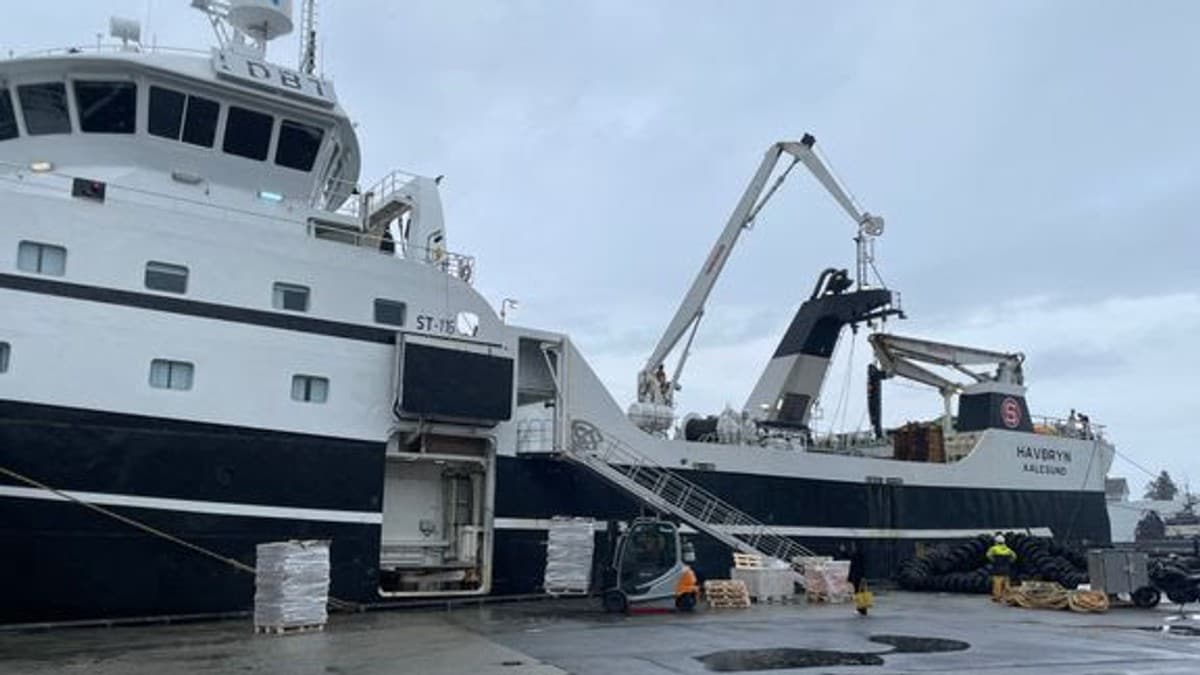 Mener avgiftskutt ogs&aring; gir klimakutt