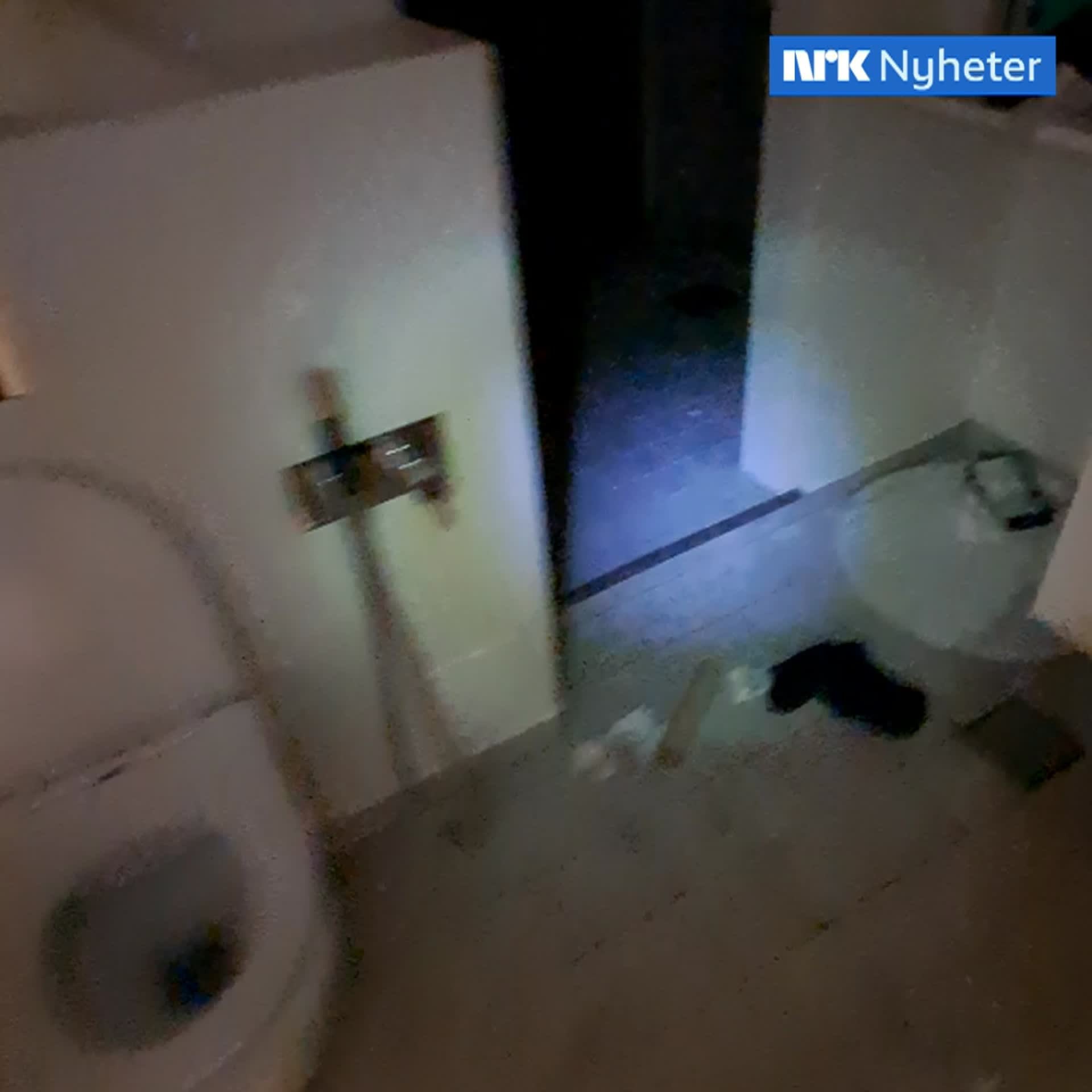 Nettverk svindlet eldre for millioner – nå er 11 personer dømt