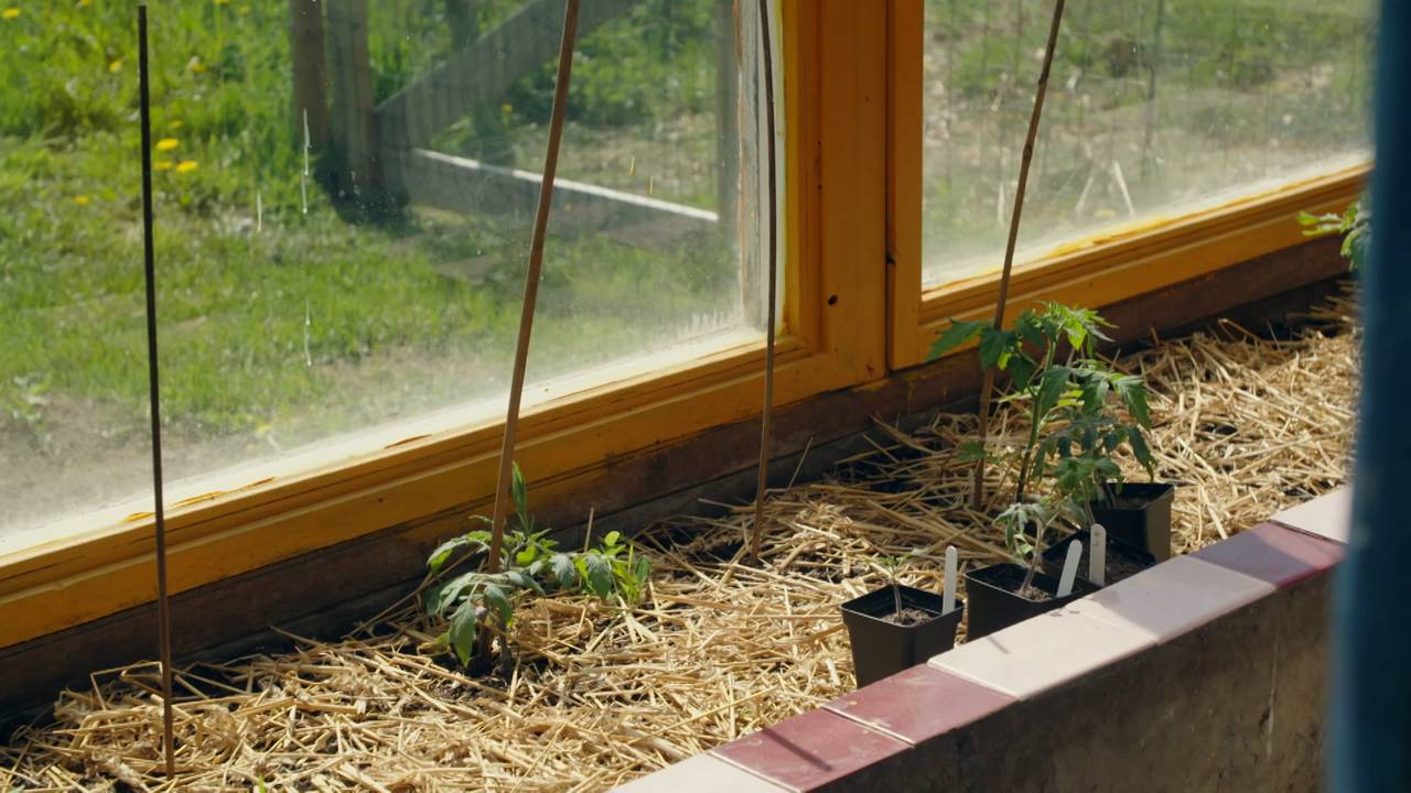 Drivhus g hønsehus i ett, laget av Gaia arkitekter