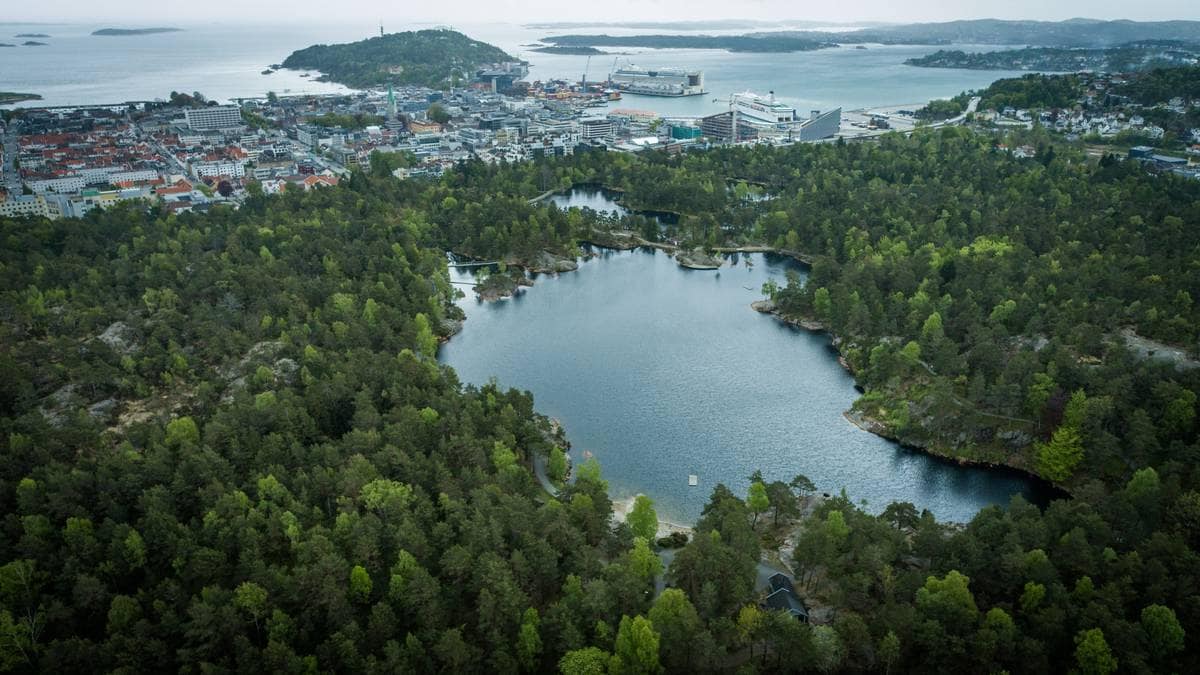 Første delrapport fra Baneheia-utvalget er klar