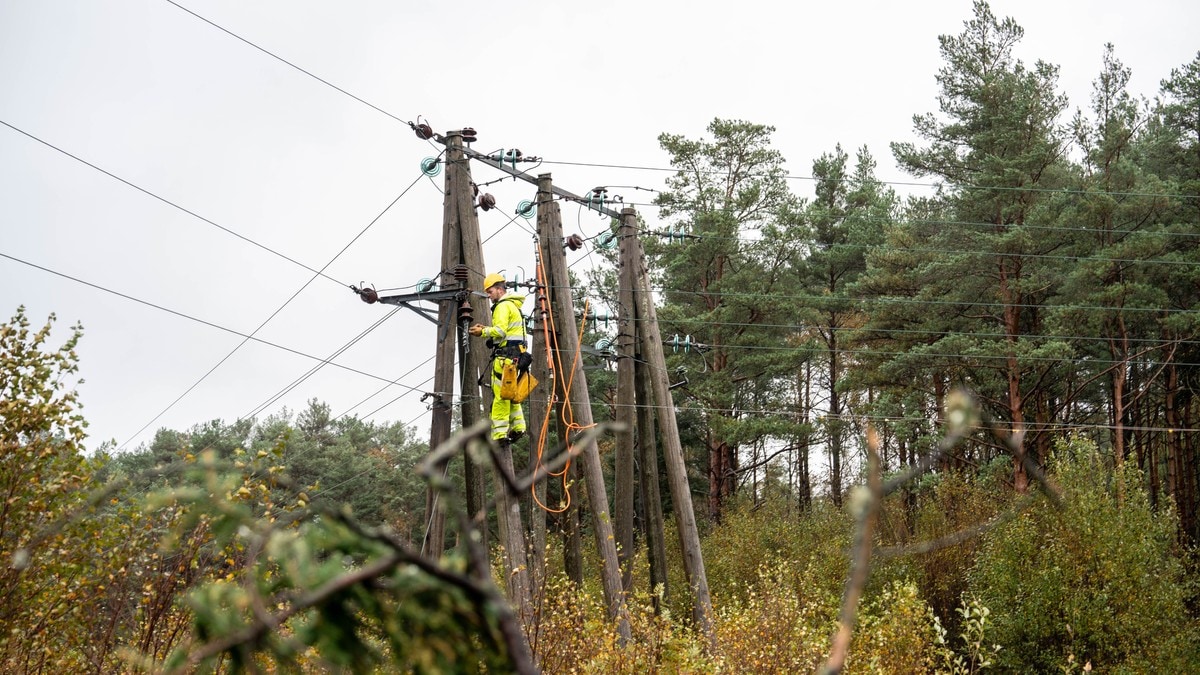 Sikrare straumforsyning vil koste meir natur