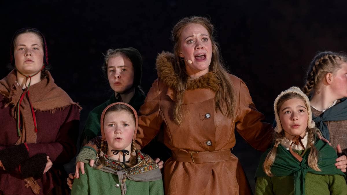 Anmeldelse «Pandemiarkivene» av Espen Stueland Anmeldelser og