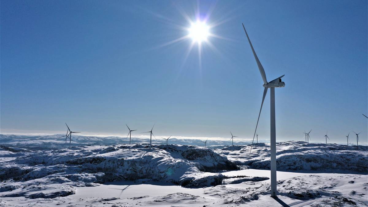 Reindeer owners in Føssen open to compromise on wind power plants – NRK Trøndelag