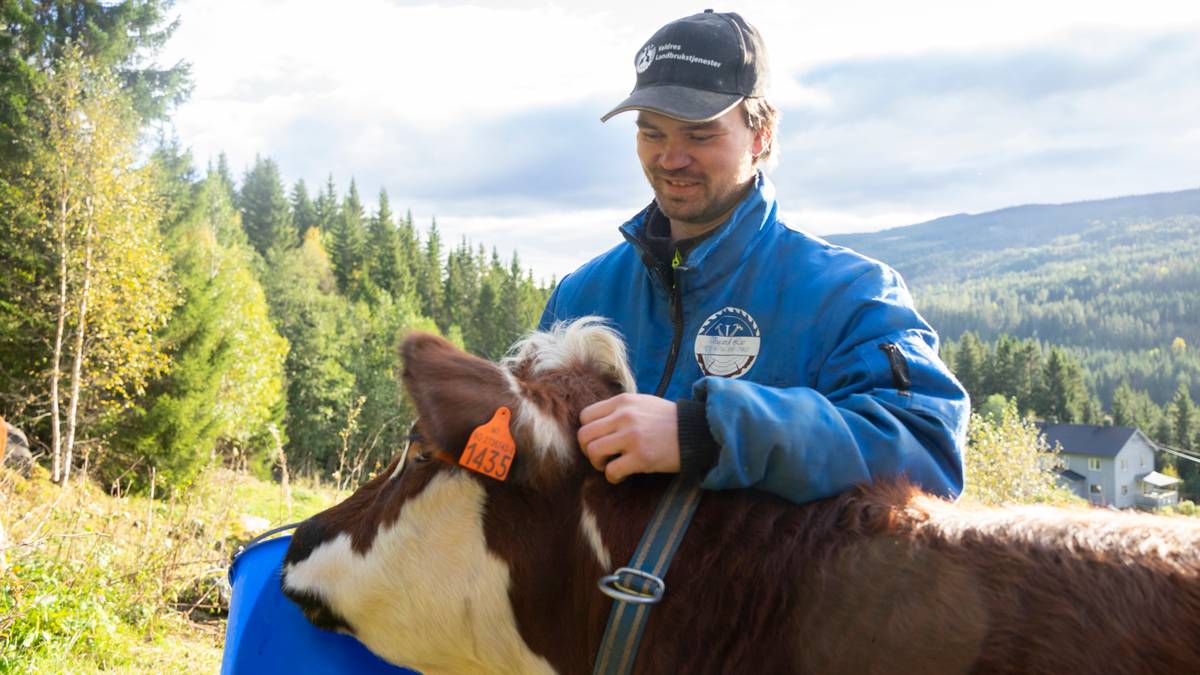 Vegard (25) tok over garden: – Har eit samfunns­ansvar
