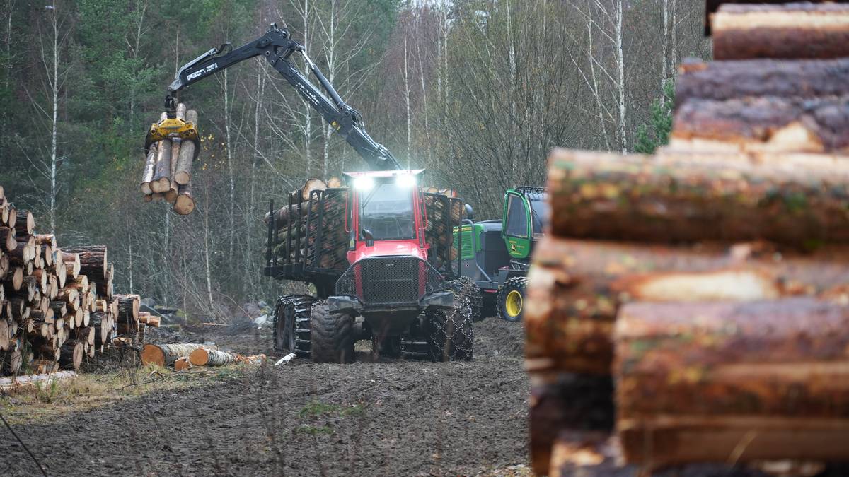 Avviser forslag om hogststopp i hekketiden
