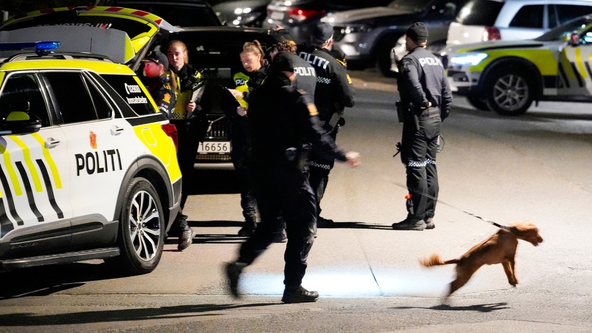 Bekrefter skyting på Holmlia – to personer pågrepet