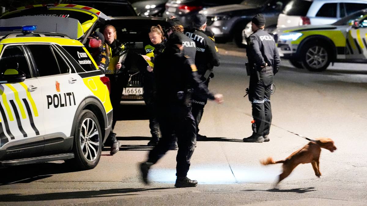 Bekrefter skyting på Holmlia – to personer pågrepet