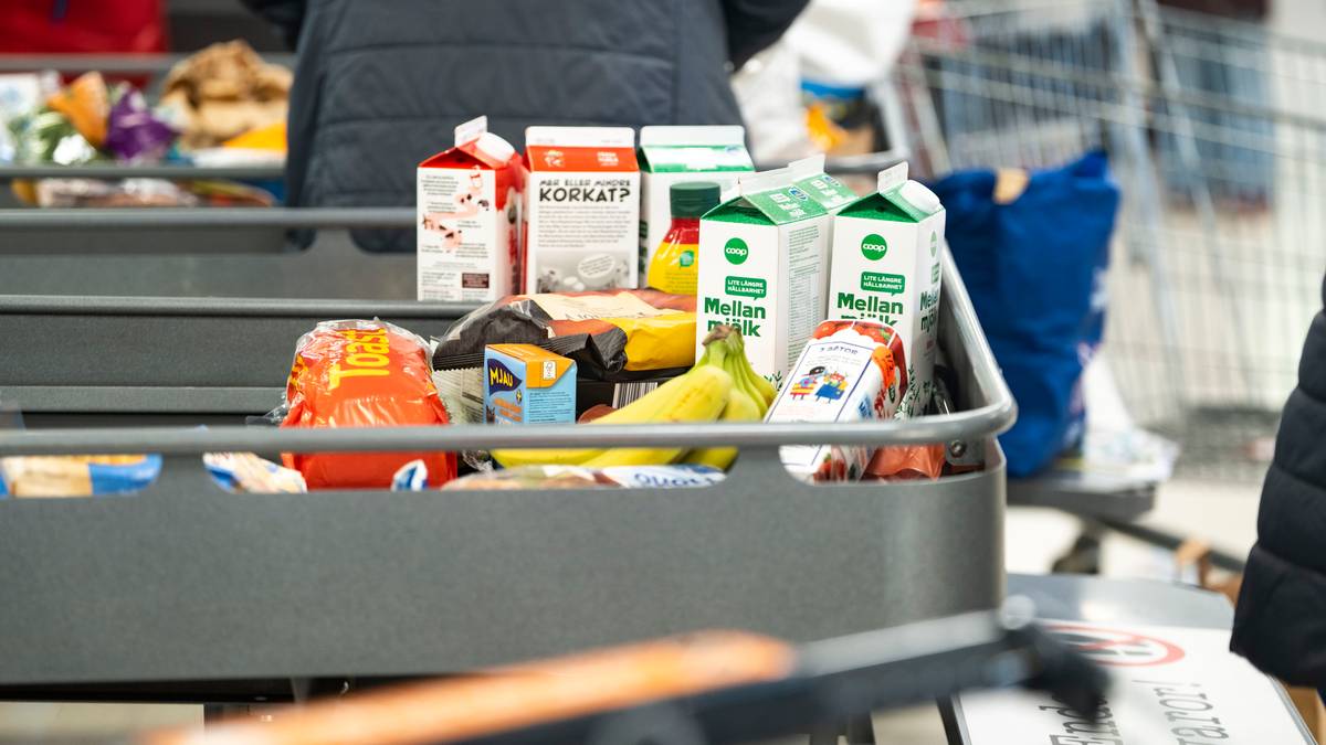 Coop Øst tjener nær 100 millioner på grensehandel: – Viktig for oss