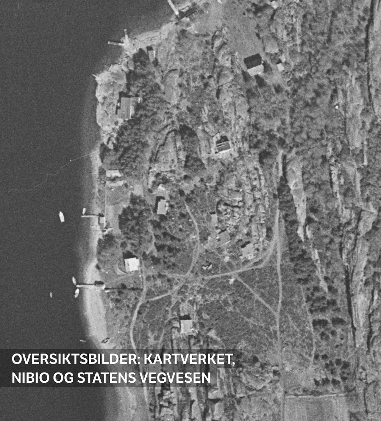 Strandsonen på Hvasser 1979
