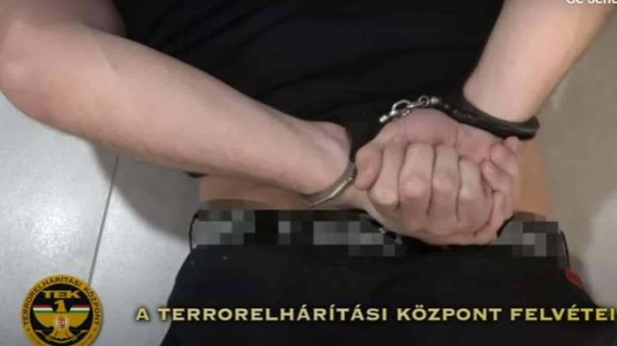 Sunnmøring dømt til fengsel i ti år for terrorplanar