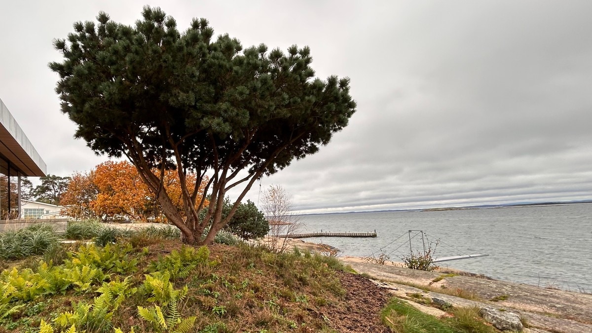 Mange siktet for ulovlig hyttebygging i Fredrikstad