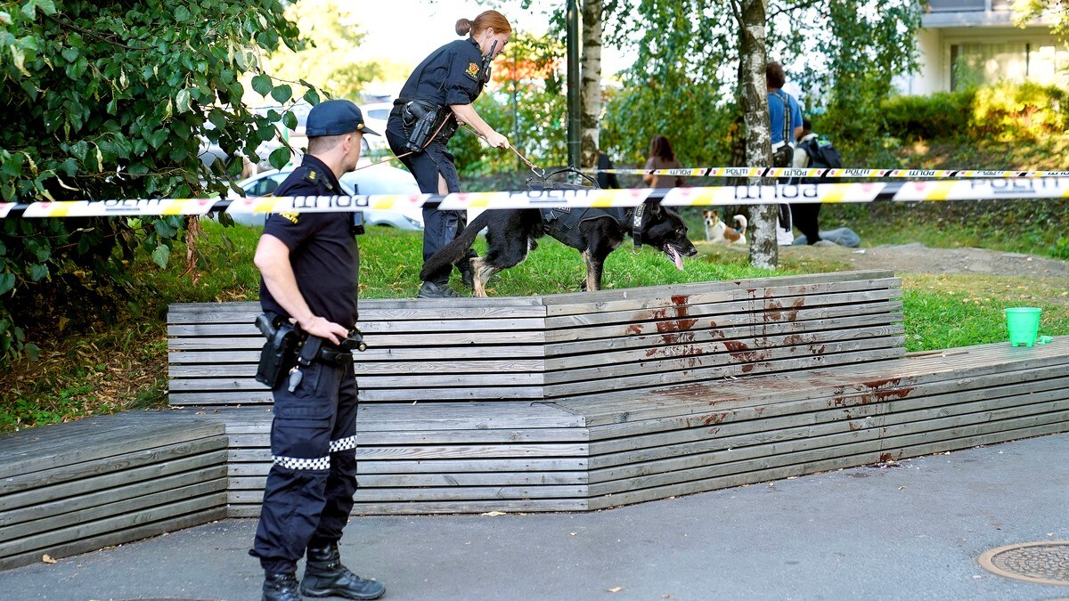 To unge menn kritisk skadet i knivstikking på Furuset i Oslo