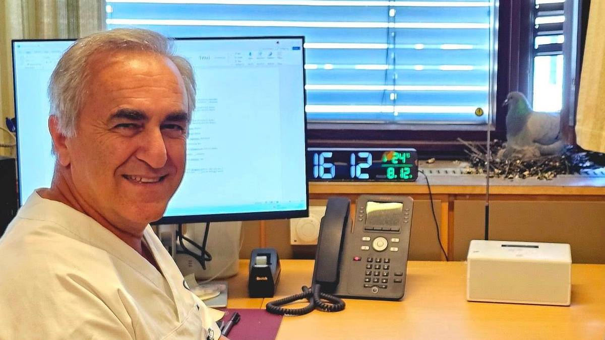 Tilbake etter fire ukers ferie – nå deler han kontor med tre duer
