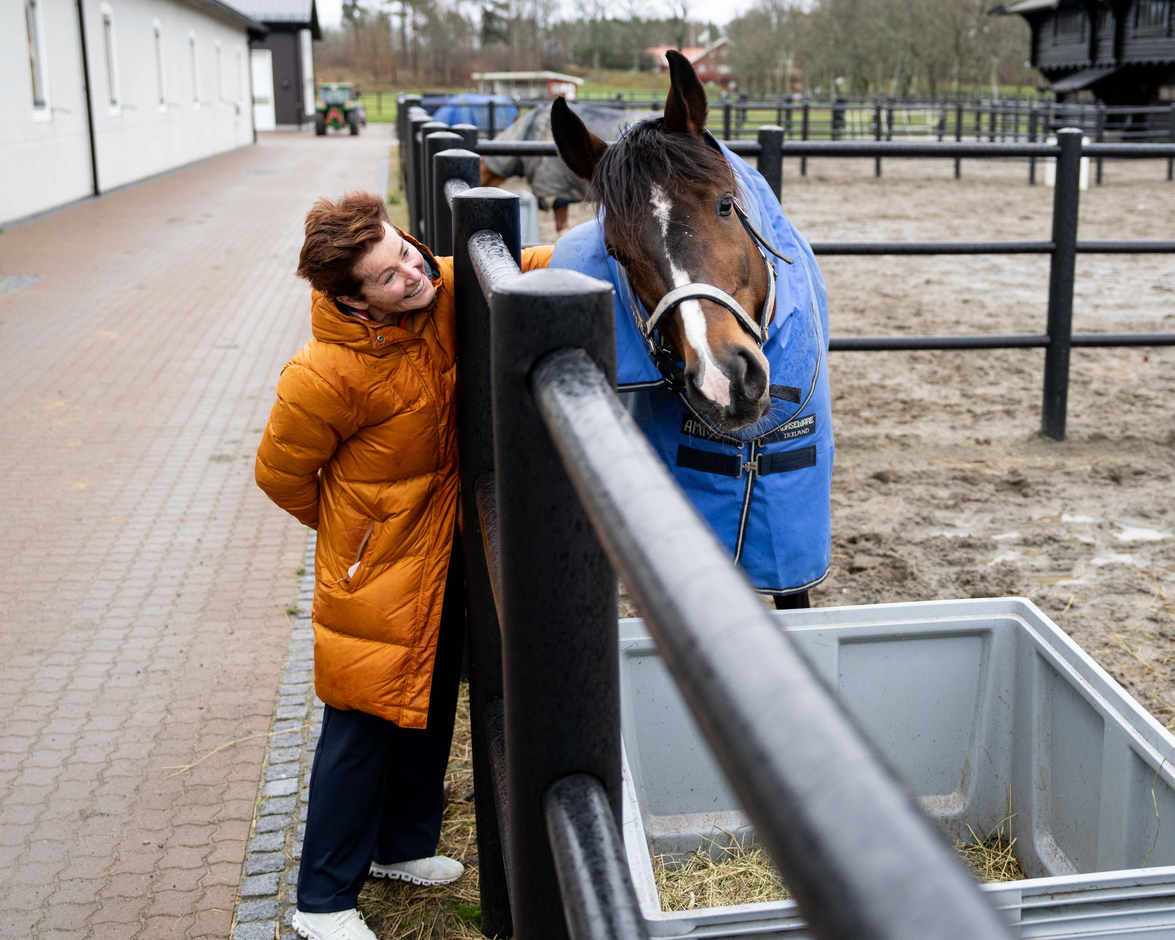 en person som klapper en hest