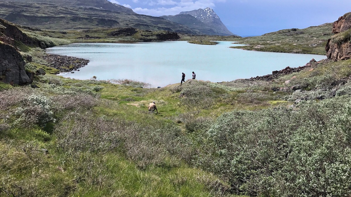 Hvorfor reiste vikingene fra Grønland? Forskere kan endelig ha funnet svaret