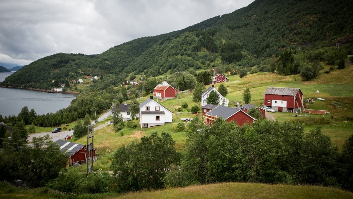 Halverer summen til jordbruk i nord i statsbudsjettet