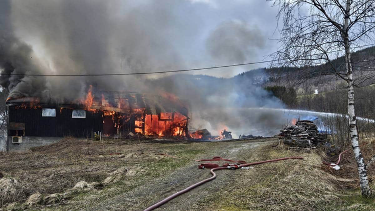 Fjøs overtent i Ballangen