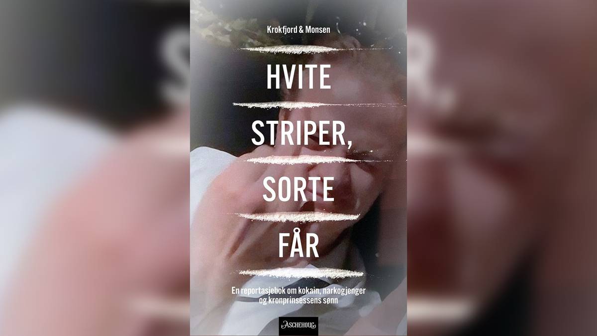 Pressen fikk tilgang til Høiby-bok før forsvarerne: – Forbausende