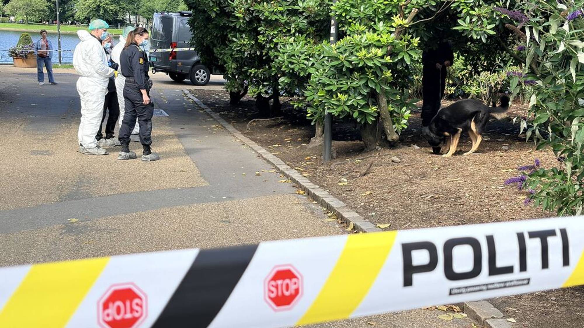 Politietterforskning ved Lille Lungegårdsvann
