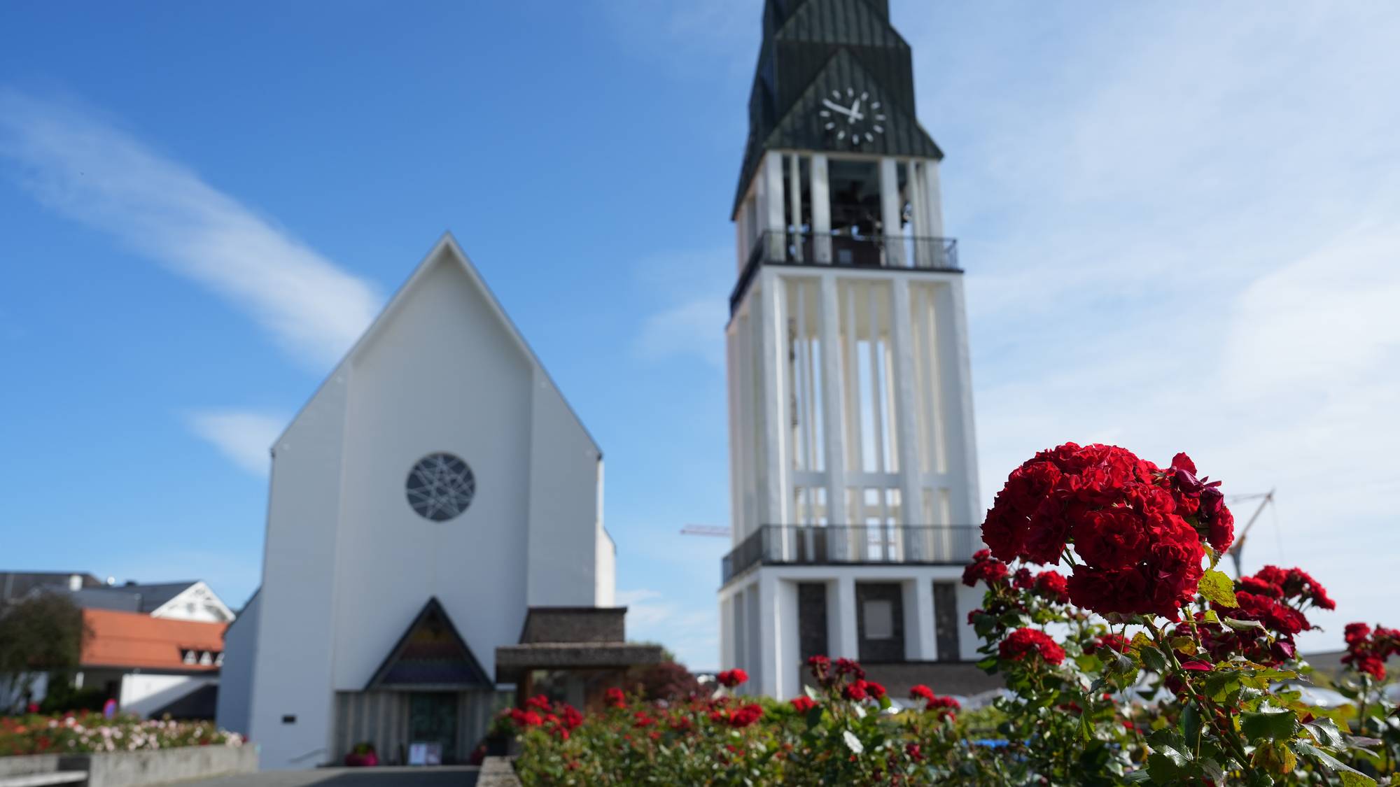 Molde domkirke med kirketårn med røde blomster i forgrunnen. 