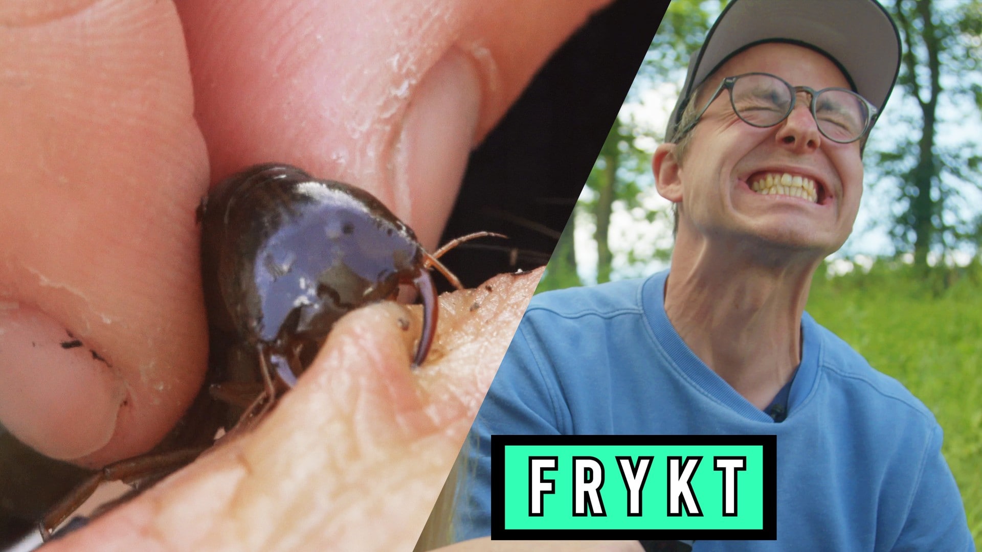 Frykt - NRK TV